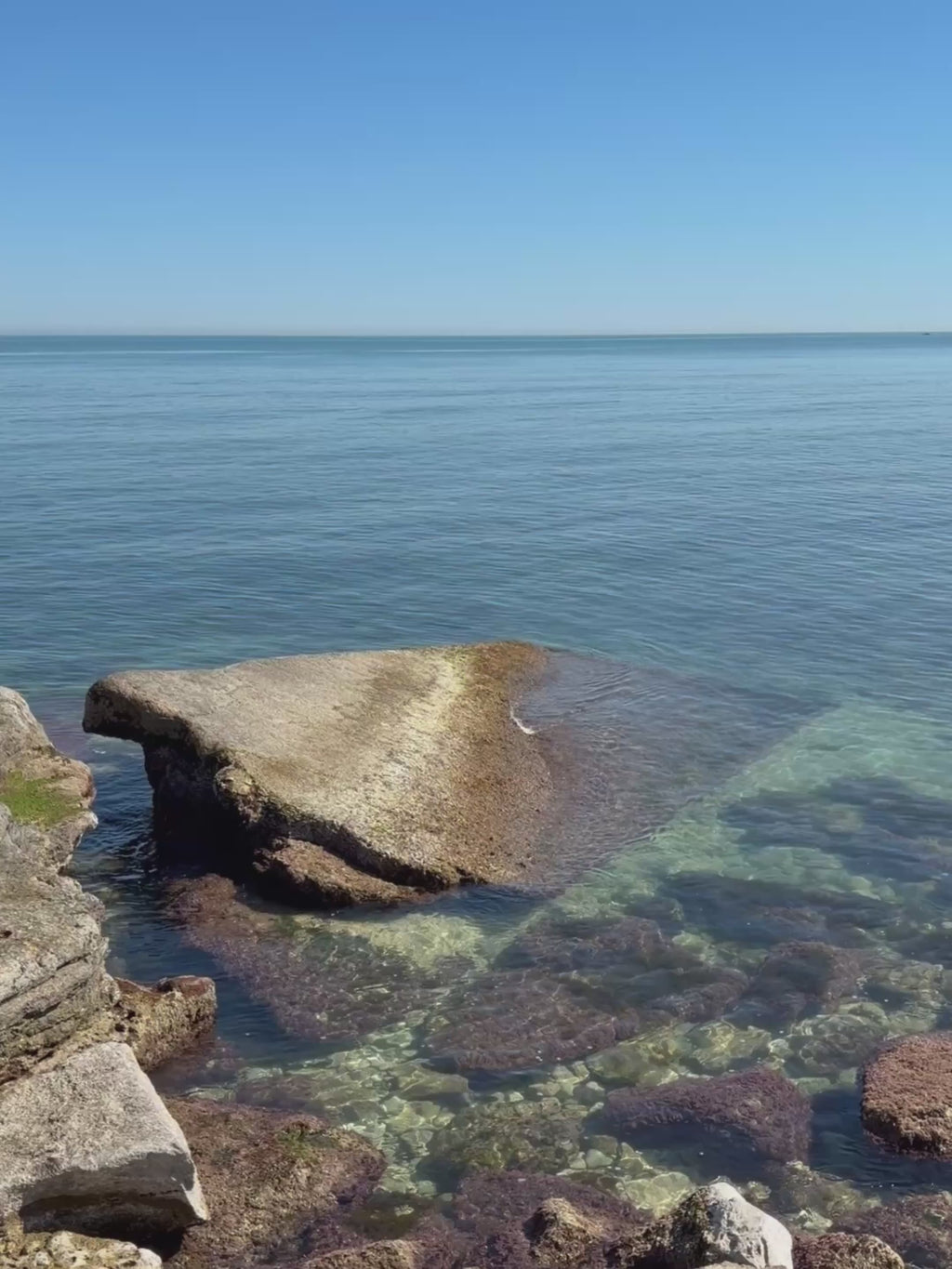 Teddy Charm goldene Schlaufe