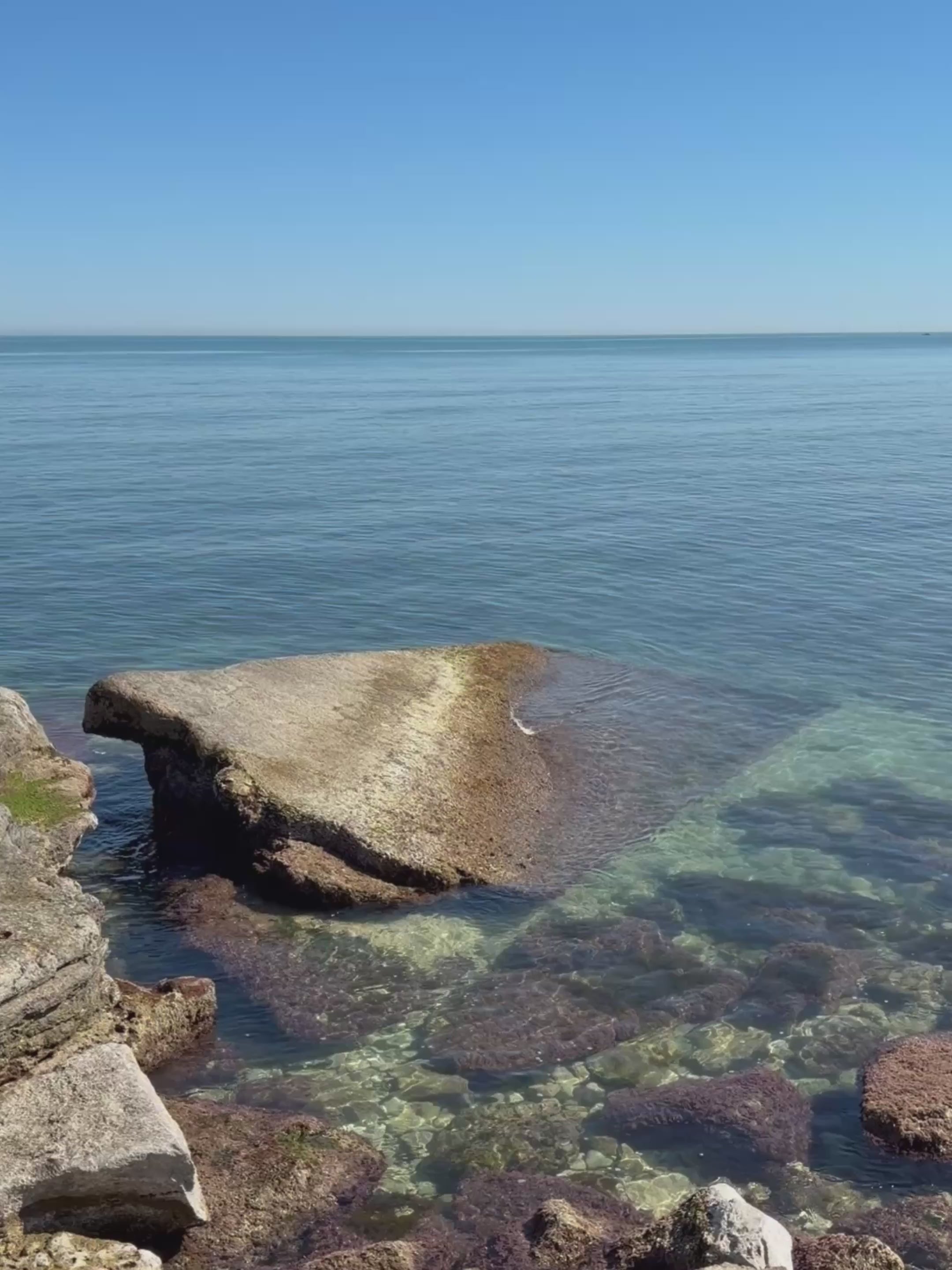 Teddy Charm goldene Schlaufe